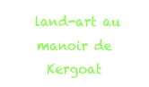  land-art au manoir de Kergoat