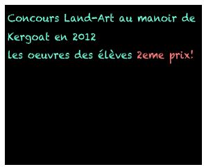 Concours Land-Art au manoir de Kergoat en 2012
les oeuvres des élèves 2eme prix!
